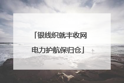 银线织就丰收网 电力护航保归仓