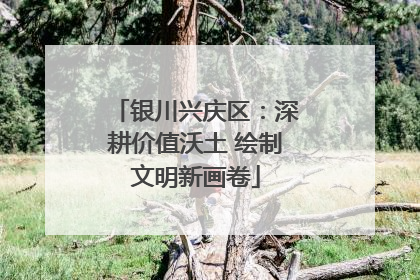 银川兴庆区：深耕价值沃土 绘制文明新画卷