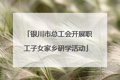 银川市总工会开展职工子女家乡研学活动