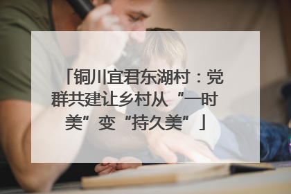铜川宜君东湖村：党群共建让乡村从“一时美”变“持久美”