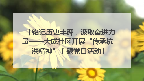 铭记历史丰碑，汲取奋进力量——大成社区开展“传承抗洪精神”主题党日活动