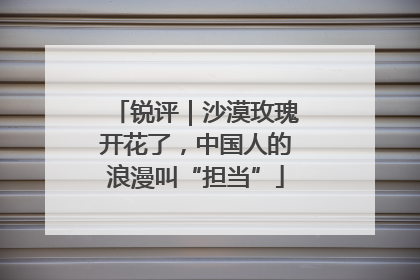 锐评｜沙漠玫瑰开花了，中国人的浪漫叫“担当”