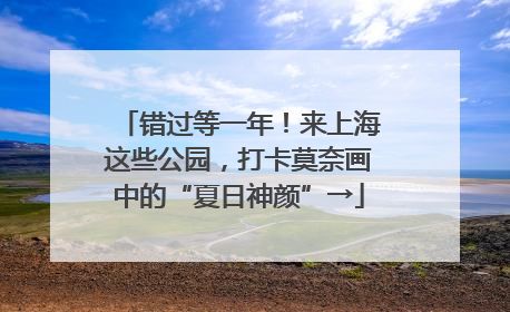错过等一年！来上海这些公园，打卡莫奈画中的“夏日神颜”→
