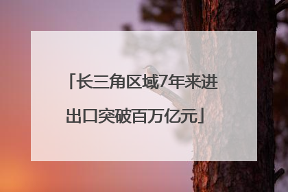 长三角区域7年来进出口突破百万亿元