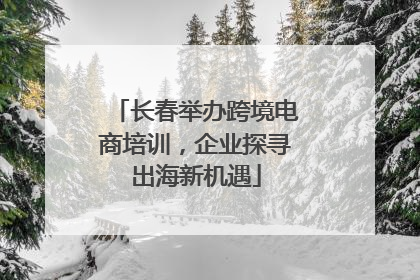 长春举办跨境电商培训，企业探寻出海新机遇