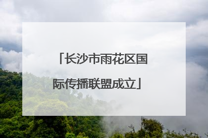 长沙市雨花区国际传播联盟成立
