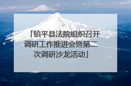 镇平县法院组织召开调研工作推进会暨第二次调研沙龙活动