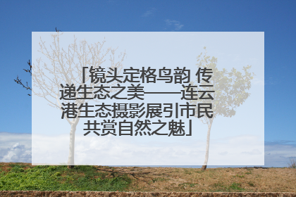 镜头定格鸟韵 传递生态之美——连云港生态摄影展引市民共赏自然之魅