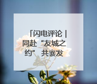 闪电评论｜同赴“友城之约” 共襄发展大计