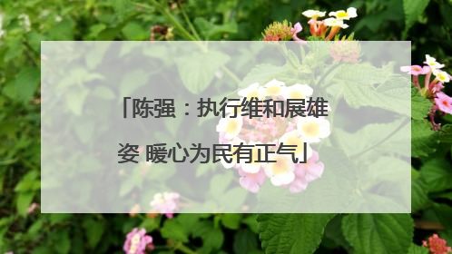 陈强：执行维和展雄姿 暖心为民有正气