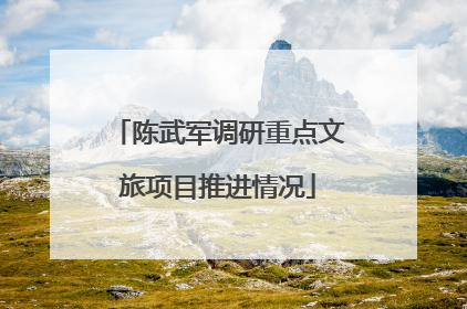 陈武军调研重点文旅项目推进情况