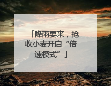 降雨要来，抢收小麦开启“倍速模式”