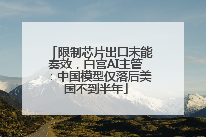 限制芯片出口未能奏效，白宫AI主管：中国模型仅落后美国不到半年