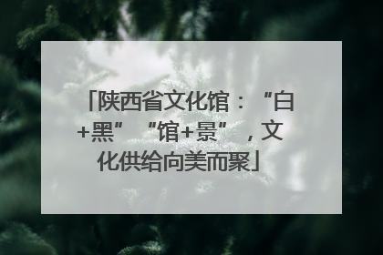 陕西省文化馆：“白+黑”“馆+景”，文化供给向美而聚