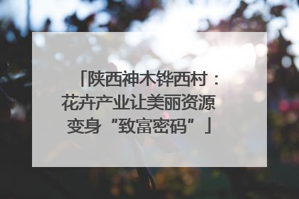 陕西神木铧西村：花卉产业让美丽资源变身“致富密码”