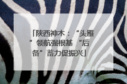 陕西神木：“头雁”领航强根基 “后备”蓄力促振兴