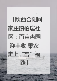 陕西合阳同家庄镇柏瑞社区：百亩杏园迎丰收 果农走上“杏”福路