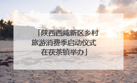 陕西西咸新区乡村旅游消费季启动仪式在茯茶镇举办