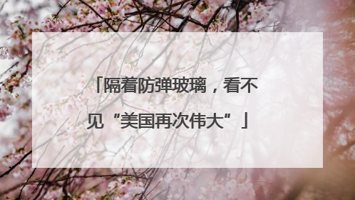 隔着防弹玻璃，看不见“美国再次伟大”