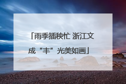雨季插秧忙 浙江文成“丰”光美如画