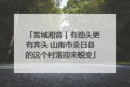 雪域湘音｜有劲头更有奔头 山南市桑日县的这个村落迎来蜕变