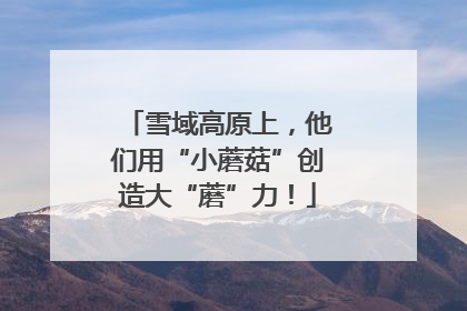 雪域高原上，他们用“小蘑菇”创造大“蘑”力！