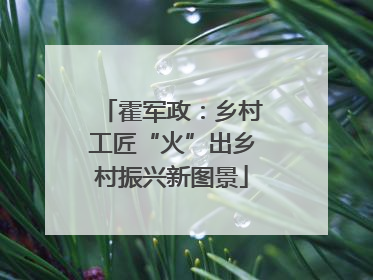 霍军政：乡村工匠“火”出乡村振兴新图景