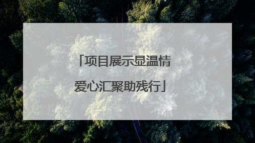 项目展示显温情 爱心汇聚助残行