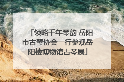 领略千年琴韵 岳阳市古琴协会一行参观岳阳楼博物馆古琴展