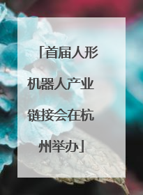 首届人形机器人产业链接会在杭州举办