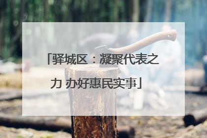 驿城区：凝聚代表之力 办好惠民实事