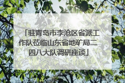 驻青岛市李沧区省派工作队莅临山东省地矿局二四八大队调研座谈