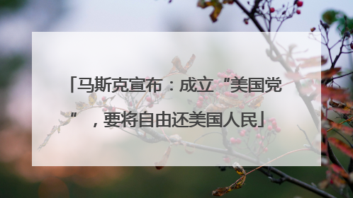 马斯克宣布：成立“美国党”，要将自由还美国人民