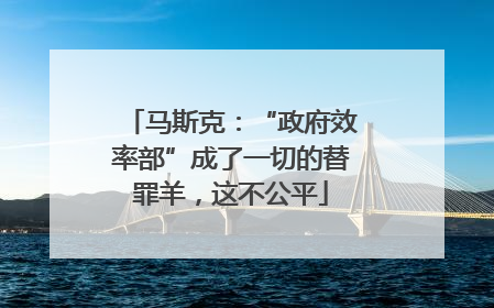 马斯克：“政府效率部”成了一切的替罪羊，这不公平
