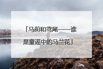 马蔺和鸢尾——谁是童谣中的马兰花