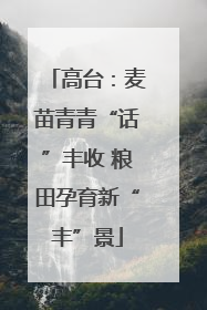 高台：麦苗青青“话”丰收 粮田孕育新“丰”景