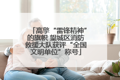 高擎“雷锋精神”的旗帜 望城区消防救援大队获评“全国文明单位”称号