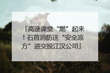 高速课堂“燃”起来！石首消防送“安全凉方”进交投江汉公司