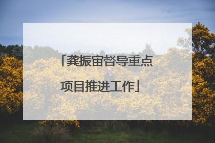 龚振宙督导重点项目推进工作