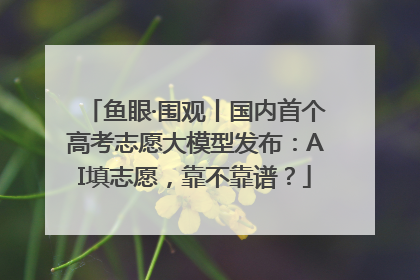 鱼眼·围观丨国内首个高考志愿大模型发布：AI填志愿，靠不靠谱？