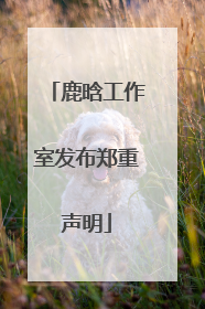 鹿晗工作室发布郑重声明