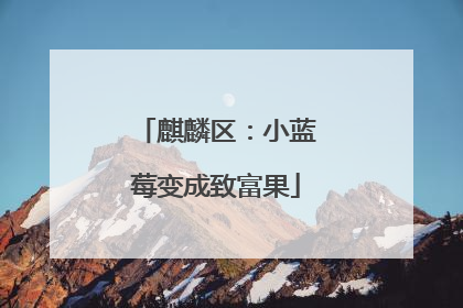 麒麟区：小蓝莓变成致富果