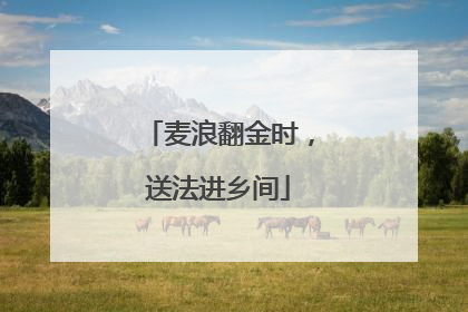 麦浪翻金时，送法进乡间