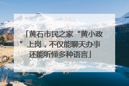 黄石市民之家“黄小政”上岗，不仅能聊天办事还能听懂多种语言