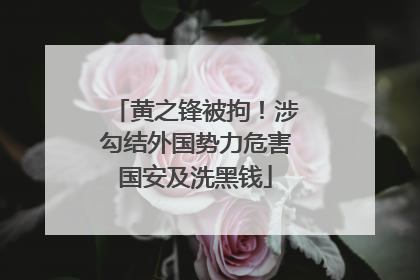 黄之锋被拘！涉勾结外国势力危害国安及洗黑钱