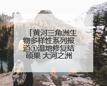黄河三角洲生物多样性系列报道①湿地修复结硕果 大河之洲展新颜