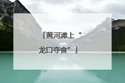 黄河滩上“龙口夺食”