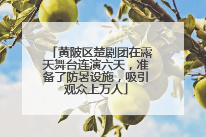 黄陂区楚剧团在露天舞台连演六天，准备了防暑设施，吸引观众上万人