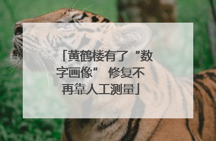 黄鹤楼有了“数字画像” 修复不再靠人工测量