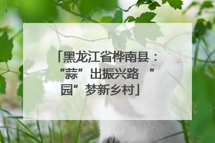 黑龙江省桦南县：“蒜”出振兴路 “园”梦新乡村